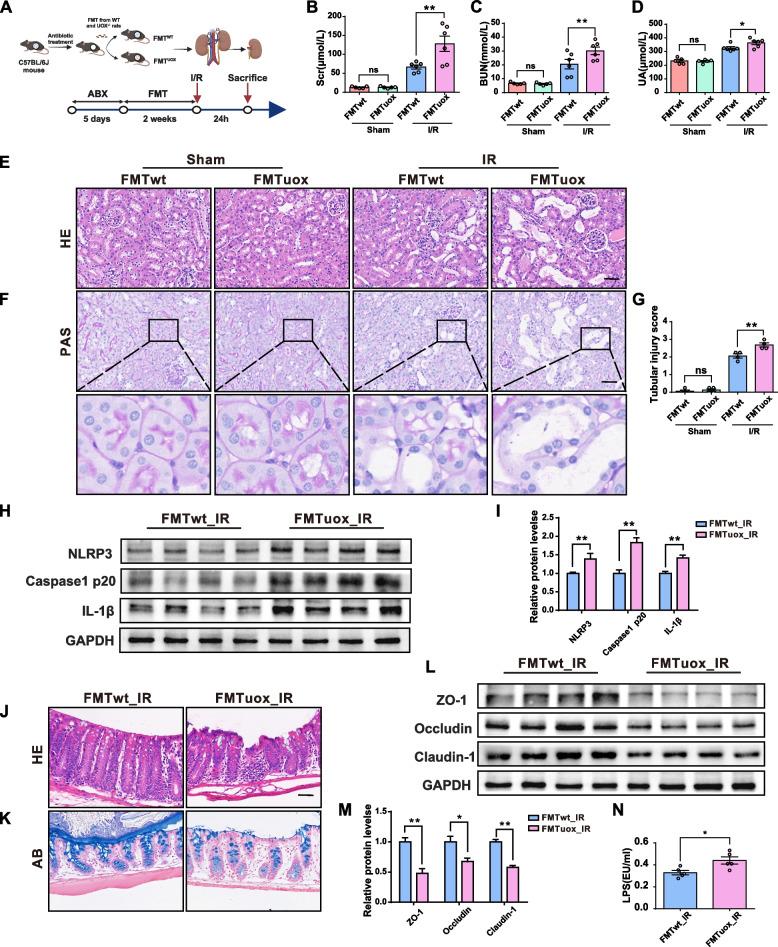 https://cdn.ncbi.nlm.nih.gov/pmc/blobs/4529/11191305/6a976adc6e5f/40168_2024_1826_Fig6_HTML.jpg