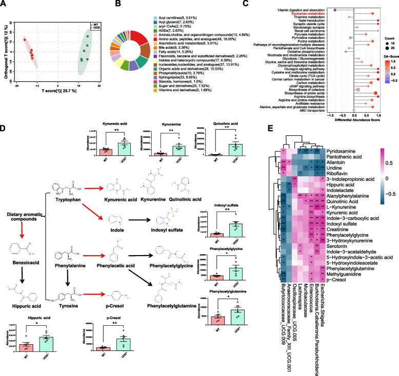 https://cdn.ncbi.nlm.nih.gov/pmc/blobs/4529/11191305/aa1b165c9f81/40168_2024_1826_Fig5_HTML.jpg