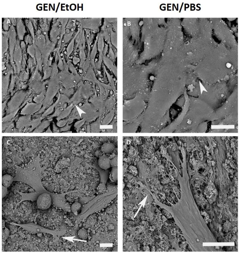 https://cdn.ncbi.nlm.nih.gov/pmc/blobs/4529/7558137/8e1c2ec5d4a3/nanomaterials-10-01681-g011.jpg