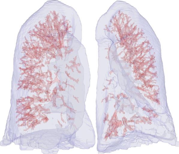 https://cdn.ncbi.nlm.nih.gov/pmc/blobs/4529/9034618/594bf84ba2c0/12880_2022_803_Fig3_HTML.jpg