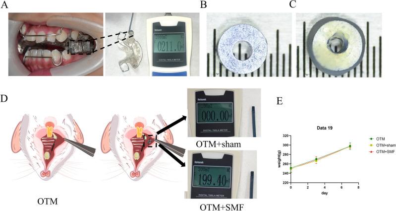 https://cdn.ncbi.nlm.nih.gov/pmc/blobs/452b/11059396/96bf0523cc03/41598_2024_60621_Fig1_HTML.jpg