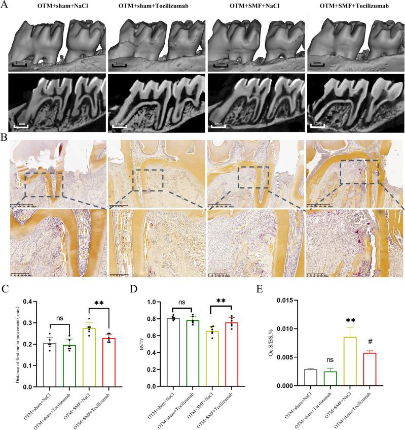 https://cdn.ncbi.nlm.nih.gov/pmc/blobs/452b/11059396/f230aa0606ac/41598_2024_60621_Fig6_HTML.jpg