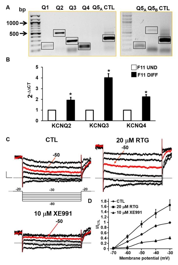 https://cdn.ncbi.nlm.nih.gov/pmc/blobs/452d/6769798/8fc833b33bce/ijms-20-04322-g001.jpg