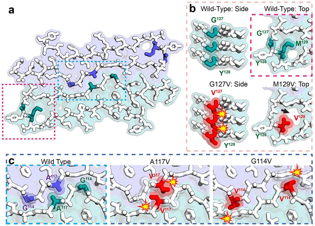 https://cdn.ncbi.nlm.nih.gov/pmc/blobs/452e/7338044/ba68c6565e73/nihms-1569853-f0004.jpg