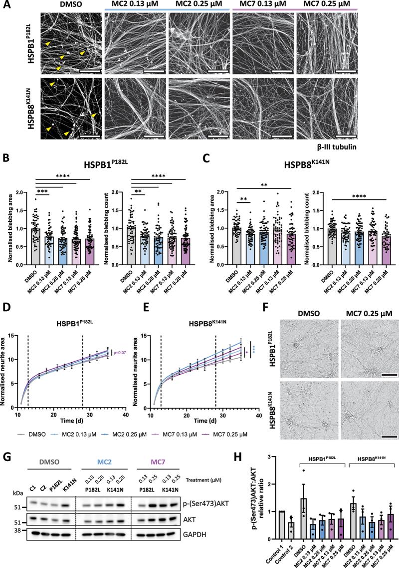 https://cdn.ncbi.nlm.nih.gov/pmc/blobs/452f/12013449/4cf88f72df9c/KAUP_A_2439649_F0008_C.jpg