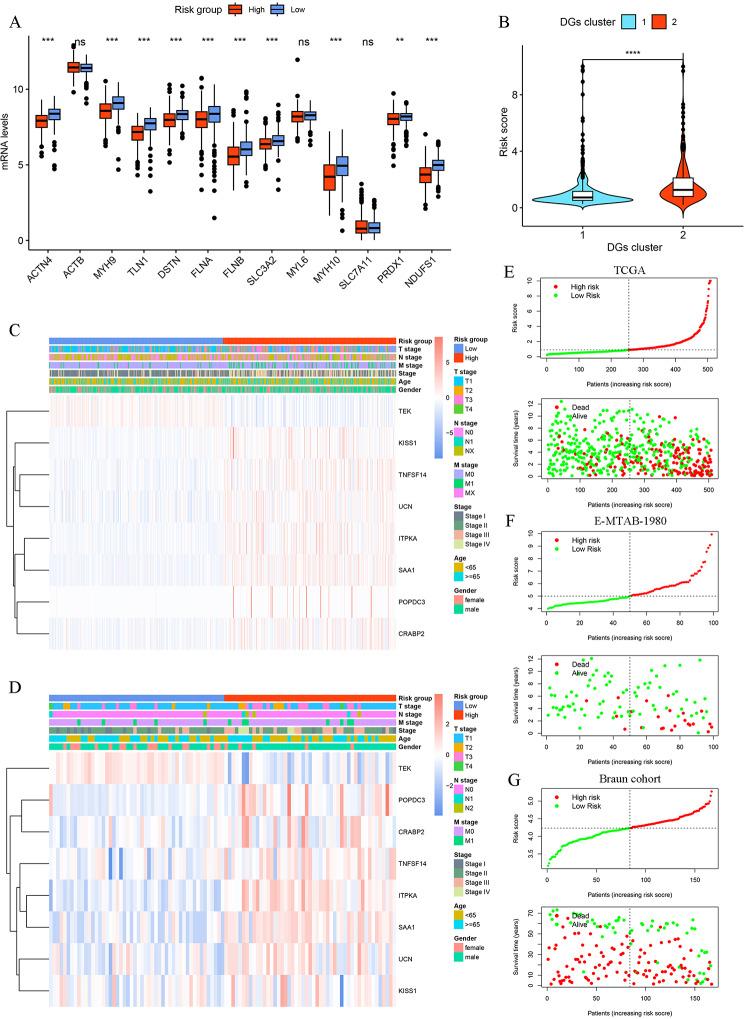 https://cdn.ncbi.nlm.nih.gov/pmc/blobs/4533/11046872/7b05462bb826/12864_2024_10307_Fig4_HTML.jpg