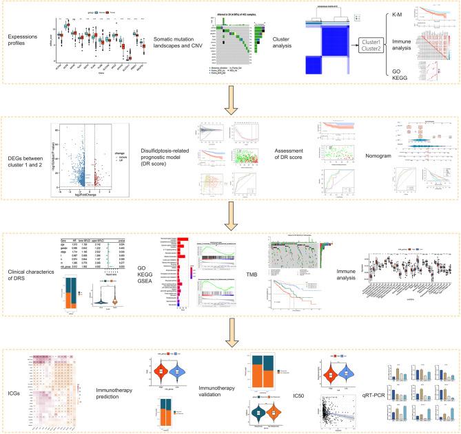 https://cdn.ncbi.nlm.nih.gov/pmc/blobs/4533/11046872/cc47174e5b58/12864_2024_10307_Fig1_HTML.jpg