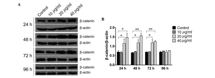 https://cdn.ncbi.nlm.nih.gov/pmc/blobs/4536/4732833/cf8ed8cd7bef/MMR-13-02-1501-g03.jpg
