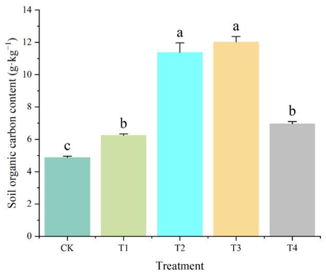 https://cdn.ncbi.nlm.nih.gov/pmc/blobs/4537/12251849/d63c53a35a3c/plants-14-02067-g002.jpg