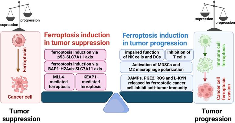 https://cdn.ncbi.nlm.nih.gov/pmc/blobs/453a/11437708/30d221610521/12943_2024_2132_Fig2_HTML.jpg