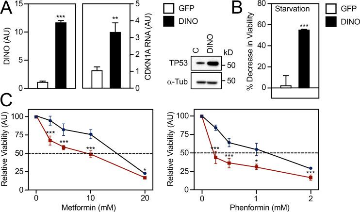 https://cdn.ncbi.nlm.nih.gov/pmc/blobs/453a/7298716/7b1dec6f6ebc/mBio.01190-20-f0005.jpg