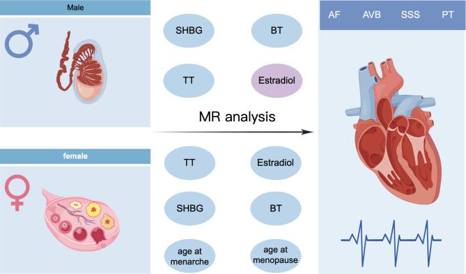 https://cdn.ncbi.nlm.nih.gov/pmc/blobs/4543/11577811/25511586d794/12872_2024_4335_Fig1_HTML.jpg