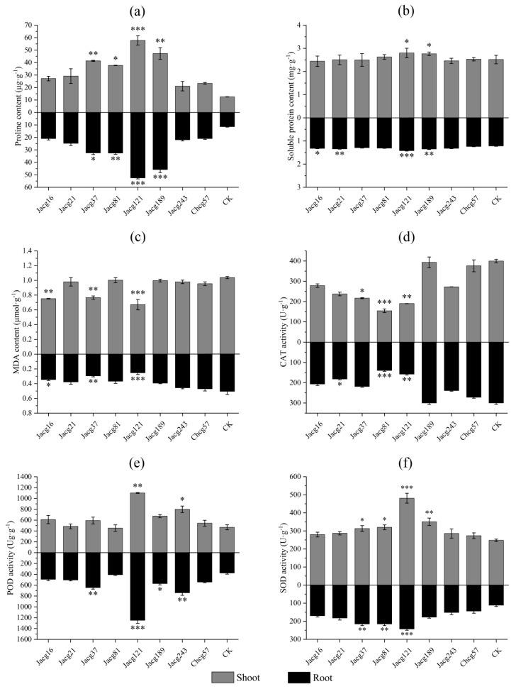 https://cdn.ncbi.nlm.nih.gov/pmc/blobs/4545/10817269/d42070db724d/jof-10-00071-g004.jpg