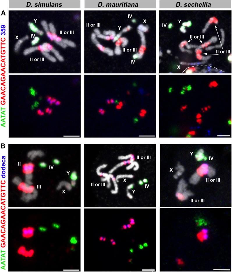 https://cdn.ncbi.nlm.nih.gov/pmc/blobs/4547/5295612/94ca3e6e7e2e/693f7.jpg