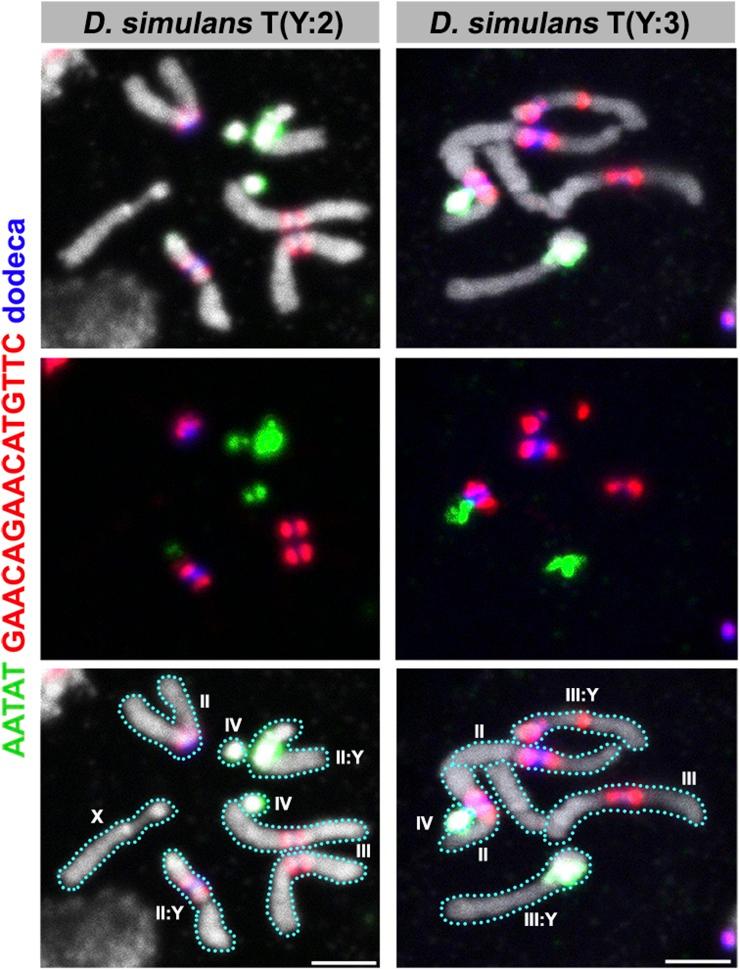 https://cdn.ncbi.nlm.nih.gov/pmc/blobs/4547/5295612/e3ae7dd052f4/693f6.jpg