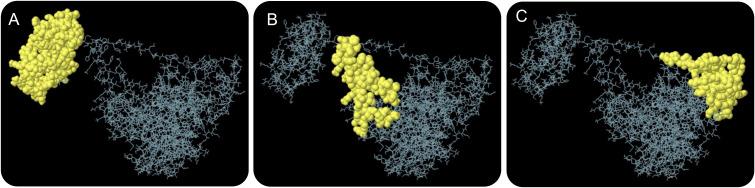 https://cdn.ncbi.nlm.nih.gov/pmc/blobs/4547/9942524/5fd933c65066/fimmu-14-1102578-g004.jpg