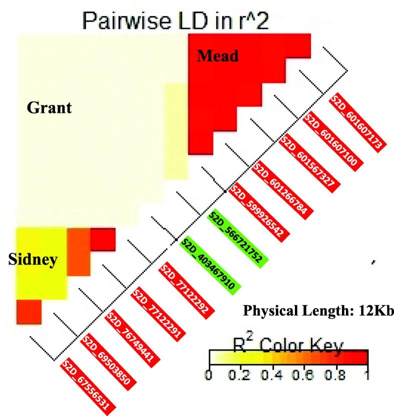 https://cdn.ncbi.nlm.nih.gov/pmc/blobs/4548/7778801/18452f5f0f4a/12864_2020_7308_Fig6_HTML.jpg