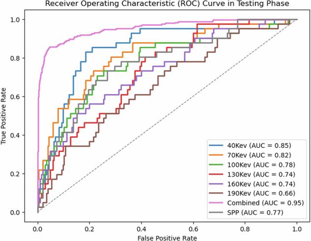 https://cdn.ncbi.nlm.nih.gov/pmc/blobs/4549/12081576/7b66f4f89eea/330_2024_11262_Fig5_HTML.jpg