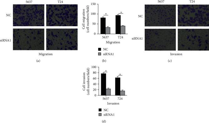 https://cdn.ncbi.nlm.nih.gov/pmc/blobs/4549/7585664/fb301377df30/BMRI2020-7139721.005.jpg
