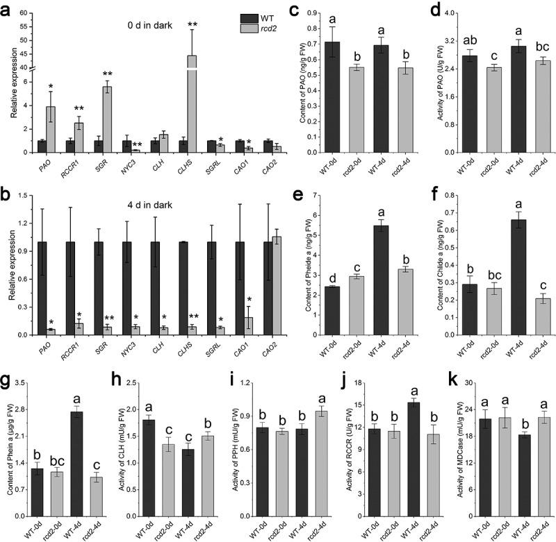https://cdn.ncbi.nlm.nih.gov/pmc/blobs/4549/7889113/1cf000f63fc5/KPSB_A_1864606_F0007_B.jpg