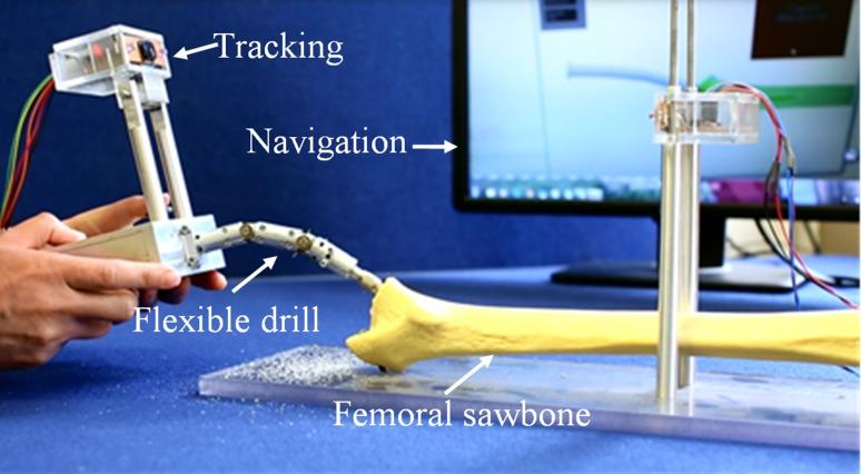 https://cdn.ncbi.nlm.nih.gov/pmc/blobs/454a/5809567/e90f132f0006/10439_2017_1959_Fig8_HTML.jpg