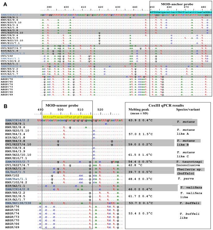 https://cdn.ncbi.nlm.nih.gov/pmc/blobs/454c/3798391/726314804a98/pone.0075827.g004.jpg