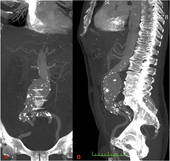 https://cdn.ncbi.nlm.nih.gov/pmc/blobs/454d/7876933/10db3525bd22/gr3.jpg