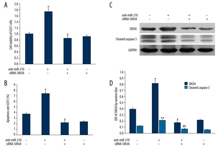 https://cdn.ncbi.nlm.nih.gov/pmc/blobs/454e/4266365/1b55b2da345b/medscimonit-20-2571-g002.jpg