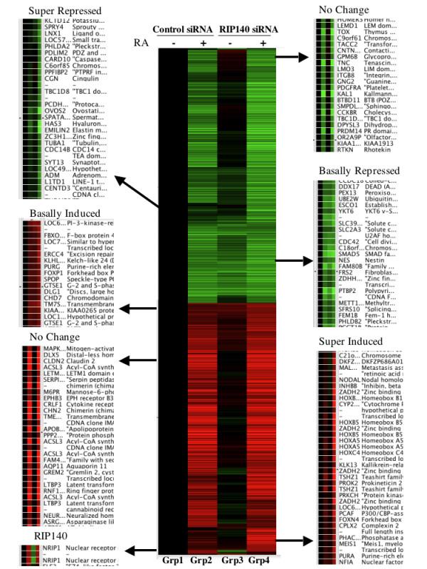 https://cdn.ncbi.nlm.nih.gov/pmc/blobs/454f/2034384/c4caf0c8c048/1476-4598-6-57-5.jpg