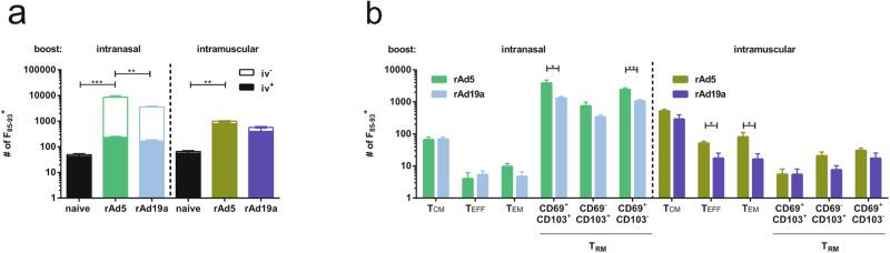 https://cdn.ncbi.nlm.nih.gov/pmc/blobs/4550/11522487/0be4667899e9/41541_2024_1001_Fig2_HTML.jpg