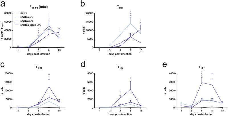 https://cdn.ncbi.nlm.nih.gov/pmc/blobs/4550/11522487/3ae8a9b6166b/41541_2024_1001_Fig9_HTML.jpg