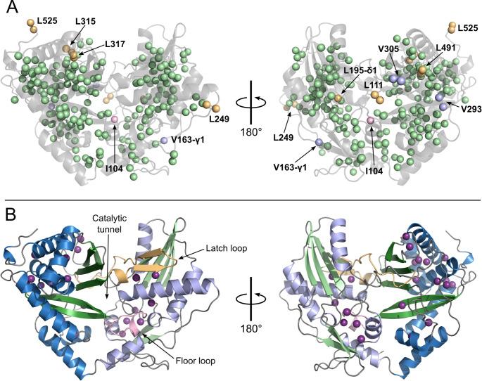 https://cdn.ncbi.nlm.nih.gov/pmc/blobs/4550/12116705/ff5351c8a9a9/12104_2025_10231_Fig4_HTML.jpg