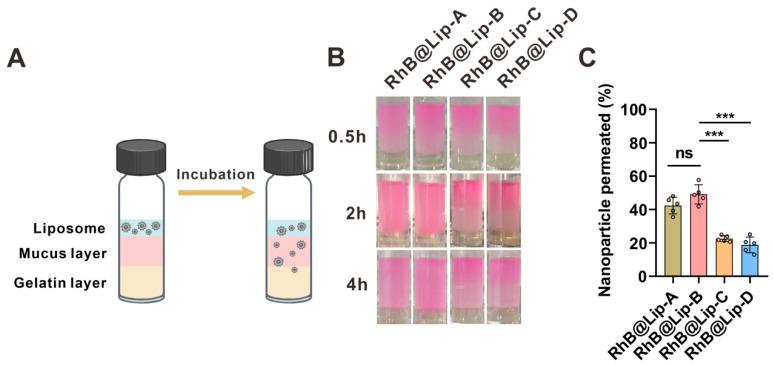 https://cdn.ncbi.nlm.nih.gov/pmc/blobs/4551/11945262/1bef0b21aebb/pharmaceutics-17-00329-g006.jpg