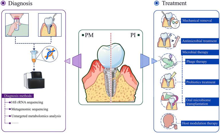 https://cdn.ncbi.nlm.nih.gov/pmc/blobs/4552/12367669/6b245b82a6ce/fmicb-16-1639095-g003.jpg