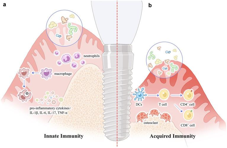 https://cdn.ncbi.nlm.nih.gov/pmc/blobs/4552/12367669/c95ce5fb6591/fmicb-16-1639095-g002.jpg