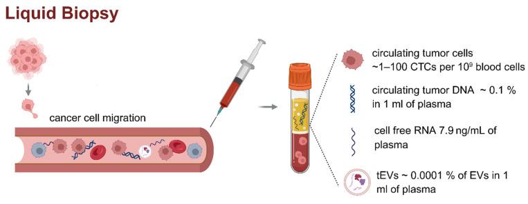 https://cdn.ncbi.nlm.nih.gov/pmc/blobs/4552/12374542/7a562da3df58/thnov15p8031g001.jpg