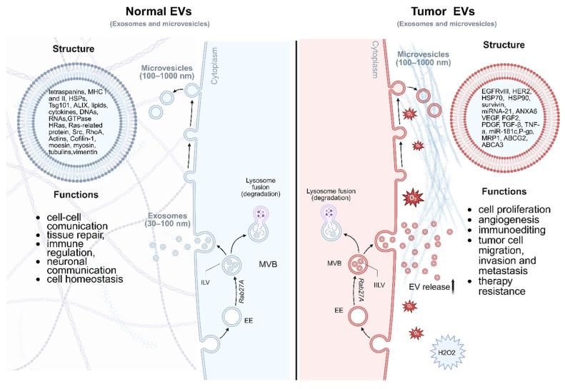 https://cdn.ncbi.nlm.nih.gov/pmc/blobs/4552/12374542/7b18ff4cd779/thnov15p8031g002.jpg