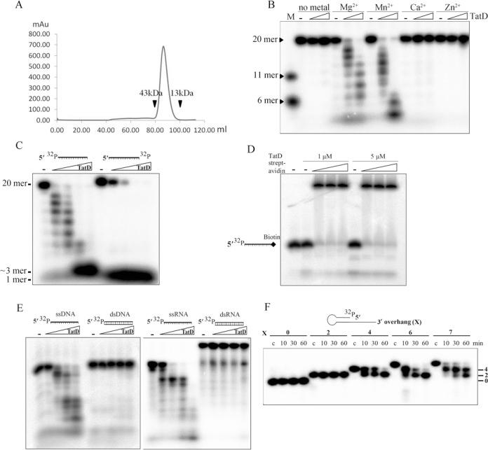 https://cdn.ncbi.nlm.nih.gov/pmc/blobs/4554/4176340/7ff62538a72c/gku732fig2.jpg