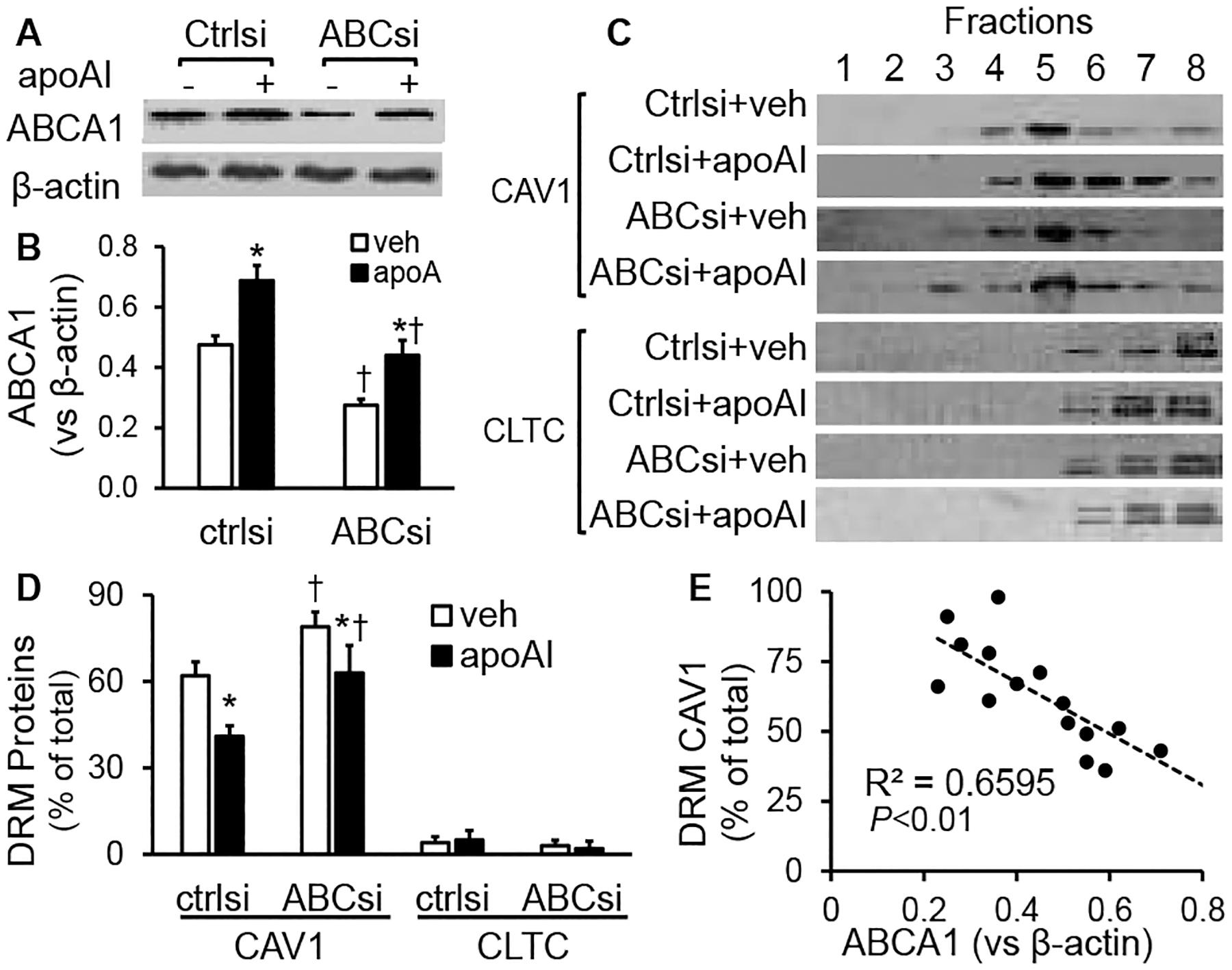https://cdn.ncbi.nlm.nih.gov/pmc/blobs/4555/11115335/d20d78dc2d5c/nihms-1866618-f0003.jpg