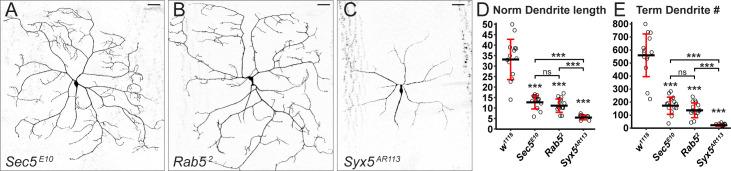 https://cdn.ncbi.nlm.nih.gov/pmc/blobs/4556/7837743/66af0d9d9880/pbio.3001061.g004.jpg