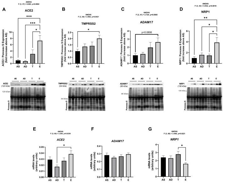 https://cdn.ncbi.nlm.nih.gov/pmc/blobs/4557/12347392/11219ca134d9/ijms-26-07313-g002.jpg