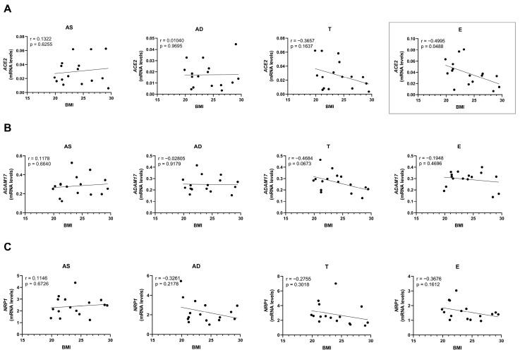 https://cdn.ncbi.nlm.nih.gov/pmc/blobs/4557/12347392/7e08f8be33d3/ijms-26-07313-g005.jpg