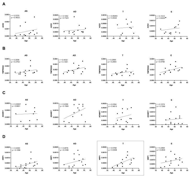 https://cdn.ncbi.nlm.nih.gov/pmc/blobs/4557/12347392/86cc80084756/ijms-26-07313-g004.jpg