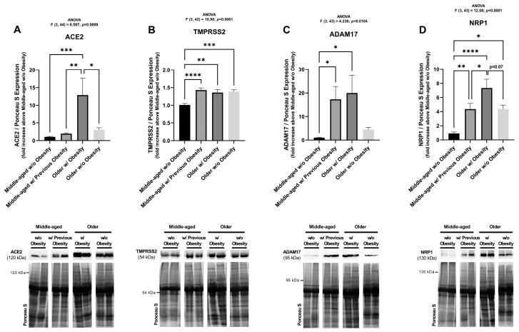 https://cdn.ncbi.nlm.nih.gov/pmc/blobs/4557/12347392/beaa314b1004/ijms-26-07313-g006.jpg