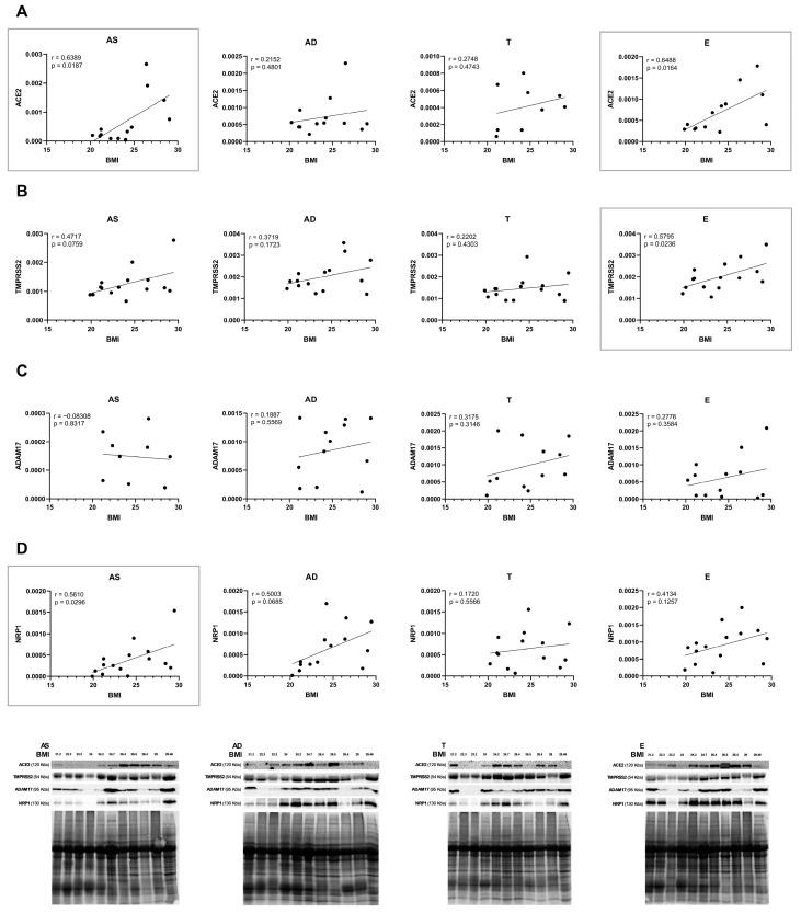 https://cdn.ncbi.nlm.nih.gov/pmc/blobs/4557/12347392/ffbf15851e7a/ijms-26-07313-g003.jpg
