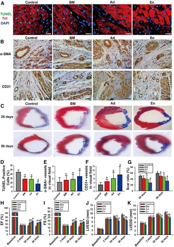 https://cdn.ncbi.nlm.nih.gov/pmc/blobs/4559/5442741/e7ab6e02225b/SCT3-6-209-g002.jpg