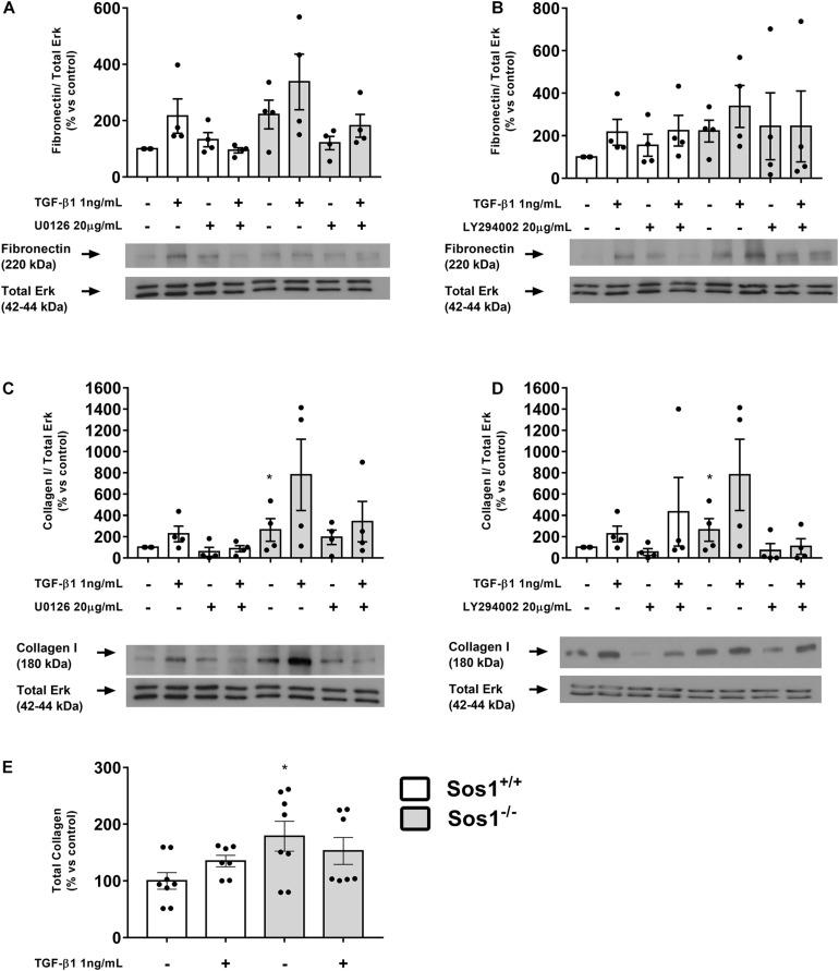 https://cdn.ncbi.nlm.nih.gov/pmc/blobs/455b/8055938/0f09f2da3f2b/fphys-12-645044-g002.jpg