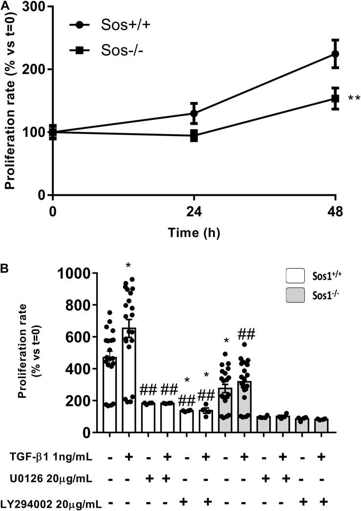 https://cdn.ncbi.nlm.nih.gov/pmc/blobs/455b/8055938/198c593a23e0/fphys-12-645044-g003.jpg