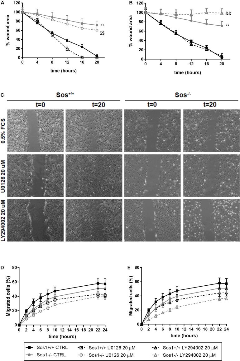 https://cdn.ncbi.nlm.nih.gov/pmc/blobs/455b/8055938/902918f36f23/fphys-12-645044-g004.jpg