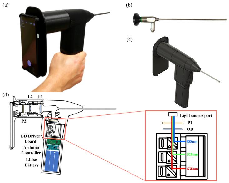 https://cdn.ncbi.nlm.nih.gov/pmc/blobs/455c/10452712/57f048b3fa69/biosensors-13-00816-g001.jpg